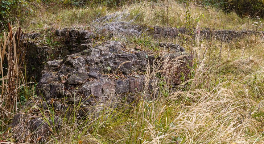 Château Saint-Rémy d'Altenstadt, Wissembourg, France